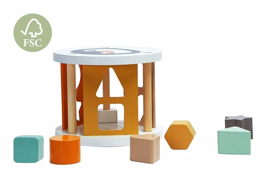 Shape sorter box Penguin - Twindle